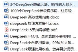 DeepSeek的隐藏玩法、高效提问技巧、小白使用指南和最强攻略