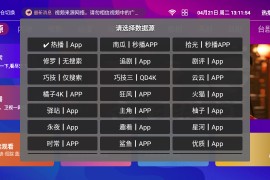 风驰4K v1.5.1 TV版
