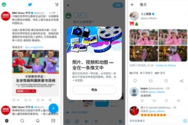 Twitter X v10.84 iOS绿化版