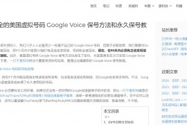 最新最全的 Google Voice 保号方法和永久保号教程