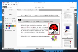 IceCream PDF Editor Pro v3.24 中文绿色便携版