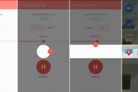 Privacy Overlay v3.0.14 安卓绿化版