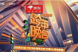 2024年各卫视、平台跨年晚会合集