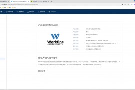 WorkfineV5.3.1数据管理软件-安装包-破解版-破解补丁-无限制