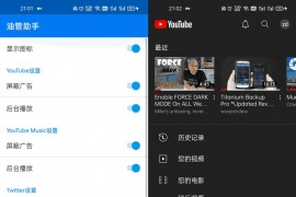 油管助手 v8.0.0 YouTube去广告Xposed模块