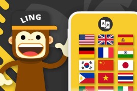 Ling v6.4.0 iOS绿化版