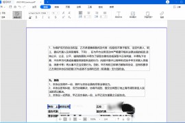 轻闪PDF(傲软PDF编辑软件)2.13.0中文破解版