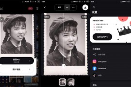 模糊人脸照片增强Remini v2.10.24 iOS绿化版