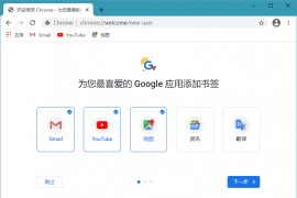 Google Chrome v123.0.6312.59官方正式版