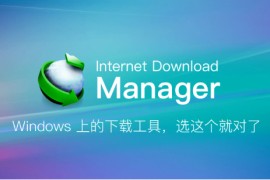 下载神器：Internet Download Manager 6.42.8 绿色特别版 (IDM)