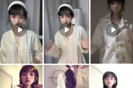 抖音 小小     颜值美女 情趣 裸舞 9v