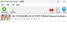 视频下载器：4K Video Downloader+ v1.5.2 中文绿色便携版