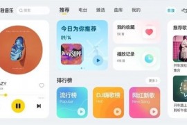 酷我音乐 v6.2.6.10/5.1.0.1 车机绿化版