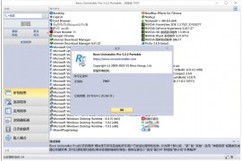 Windows 软件卸载工具: Revo Uninstaller Pro 5.2.6 绿色便携版