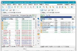 Total Commander中文增强版v11.02 正式版
