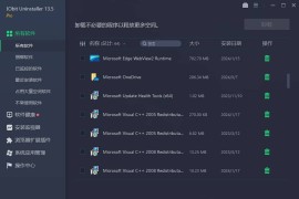 卸载工具：IObit Uninstaller Pro v13.5.0 中文绿色专业便携版