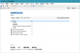 网络抓包工具Wireshark v4.2.0.0 中文绿色版