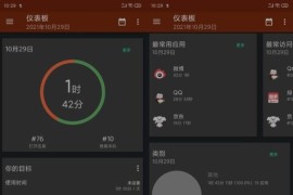 App Usage(屏幕使用时间app) v5.69 安卓绿化版