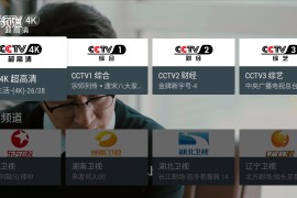 我的电视 v1.4.8 TV版