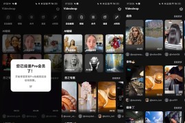 Videoleap_1.29.1会员版，超多抖音爆火的AI视频特效！