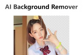 AI一键去除背景-AI Background Remover
