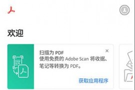 Adobe Acrobat v24.5.0.33357_Beta 安卓绿化版