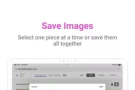 WEB Image Downloader v2.2.5 安卓绿化版