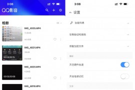 QQ影音 2.3.3 最后一版