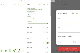 Advanced Download Manager Pro(ADM) v14.0.35 安卓绿化版