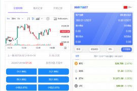 开源版海外双语言竞猜系统/虚拟币大小单双竞猜下注/USDT充值
