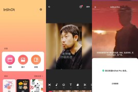 InShot – VLog 视频编辑工具 v1.80.2 iOS绿化版