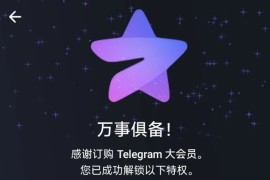 Telegram电报会员版，解锁商业版一系列本地会员功能