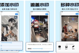 水印大师 v5.2.5 安卓绿化版