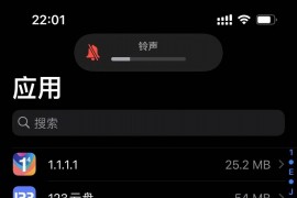 Apps Manager 恢复内购备份教程