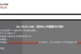 DLL-FILES – 解决无法找到的 ****.dll 文件工具