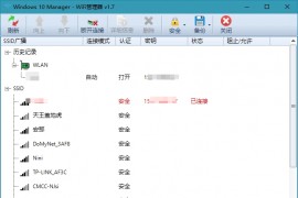 Windows 10 Manager_v3.9.0.0_中文破解版