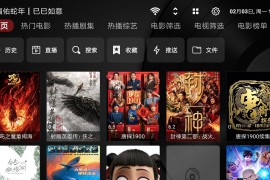 TVBox v2025.03.13 TV内置版