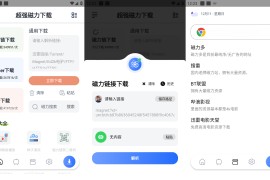 超强磁力下载 v1.2.6 安卓绿化版