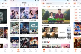 番喜视频 V1.6.0 安卓绿化版