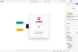 XMind 2024 v24.10 中文免安装绿色特别版 (Win/Mac)