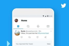 Twitter X v10.55 iOS绿化版