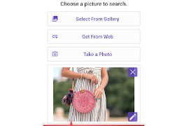 Reverse Image Search – rimg v1.2.6 安卓绿化版