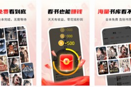 疯狂追书 v1.2.8 安卓绿化版