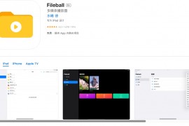 Fileball v1.3.11 iOS绿化版