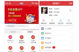 【终身免费】大富二开大时代|精仿大发系统|采集修复