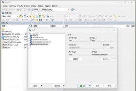 WinSCP 6.3.2 (SFTP客户端) 绿色版