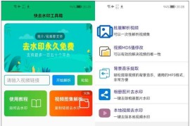 快去水印工具箱v1.0.1，批量解析下载视频和图集！