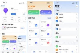 Loon 3.1.5 网络调试工具