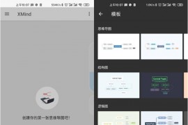 Xmind思维导图 v23.11.07267(267) 安卓绿化版