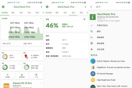 DevCheck v5.00 安卓绿化版